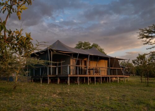 Top 05 things to do in Arusha