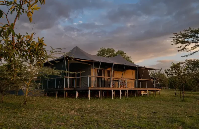 6-Day Private Mid-Range Tanzania Safari - Tarangire, Serengeti & Ngorongoro Crater