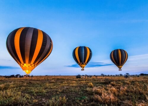 which is best for safari kenya or tanzania