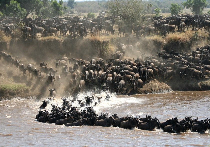 8 DAYS GREAT MIGRATION & LAKES