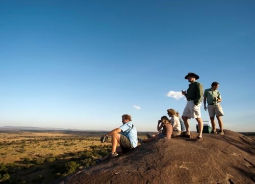Walking Safaris 
