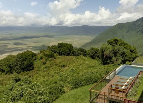 Honeymoon safaris