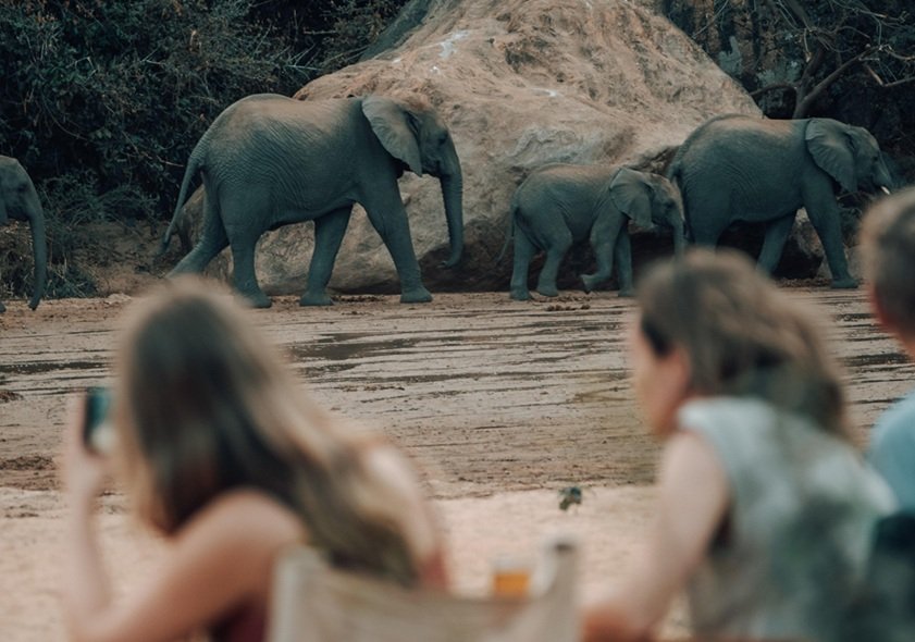 Lake Manyara Day Trip Safari