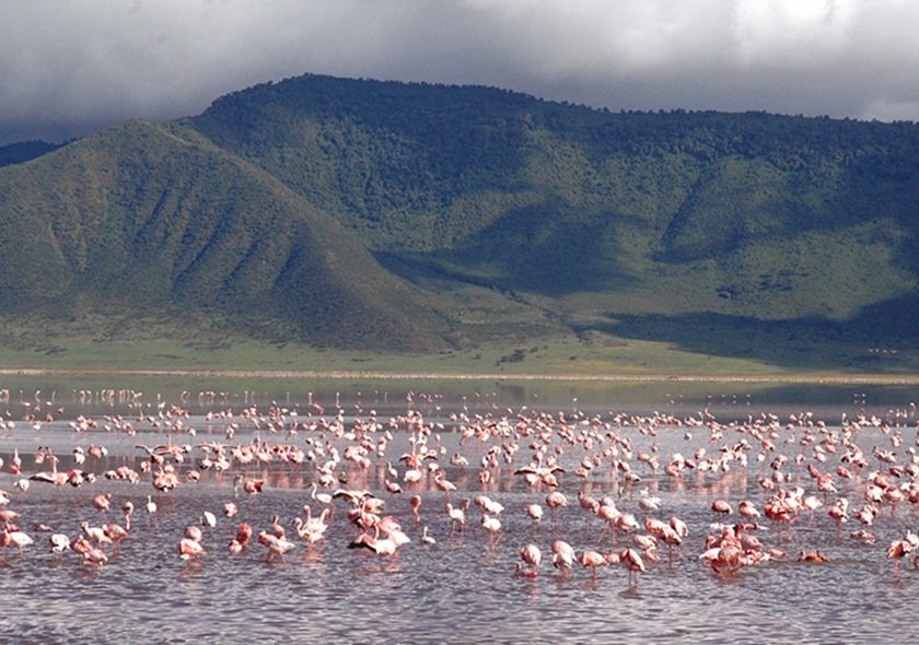Ngorongoro Crater Day Trip