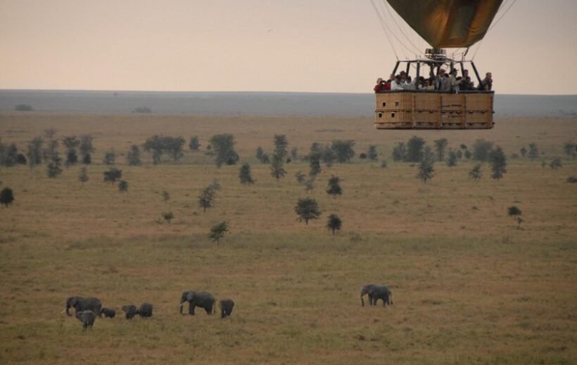 5-Day Tanzania Luxury Fly-in Safari