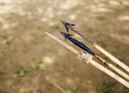 4 Day Serengeti, Ngorongoro Crater and Lake Eyasi