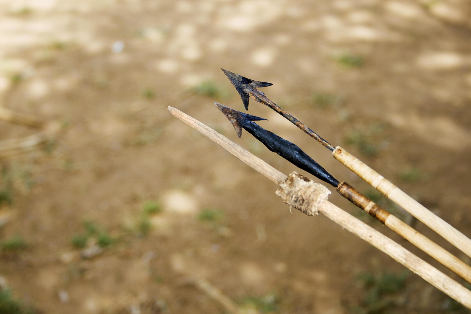 4 Day Serengeti, Ngorongoro Crater and Lake Eyasi