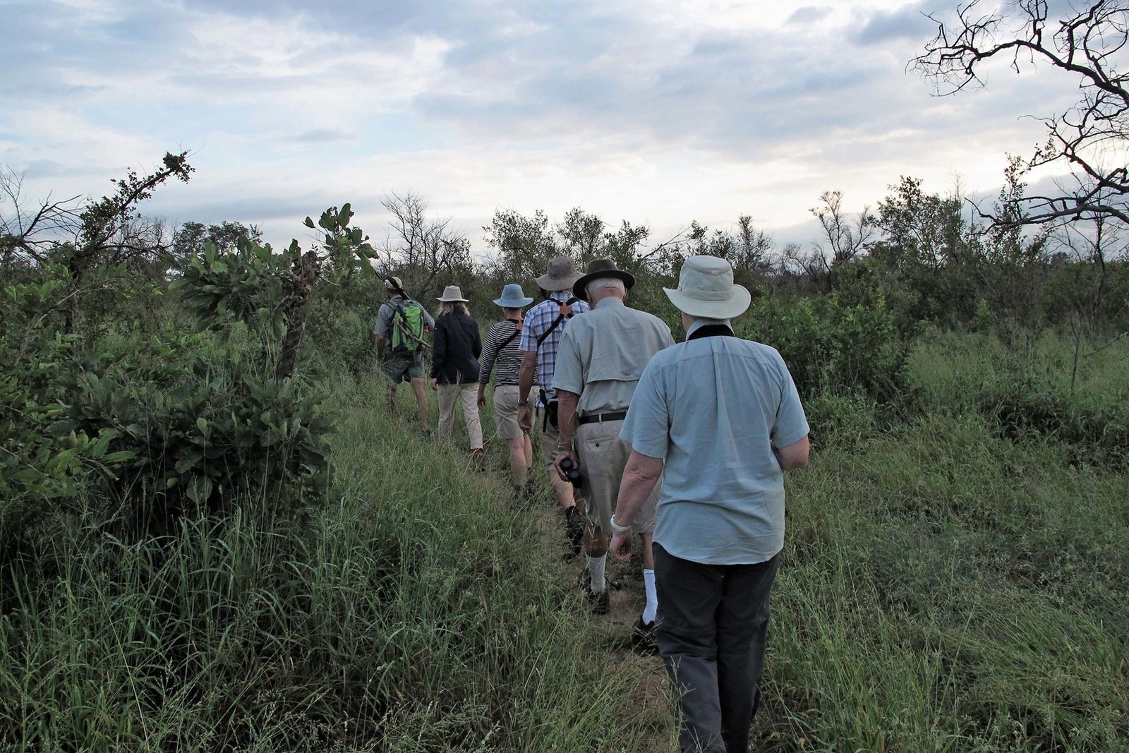 Walking Safari
