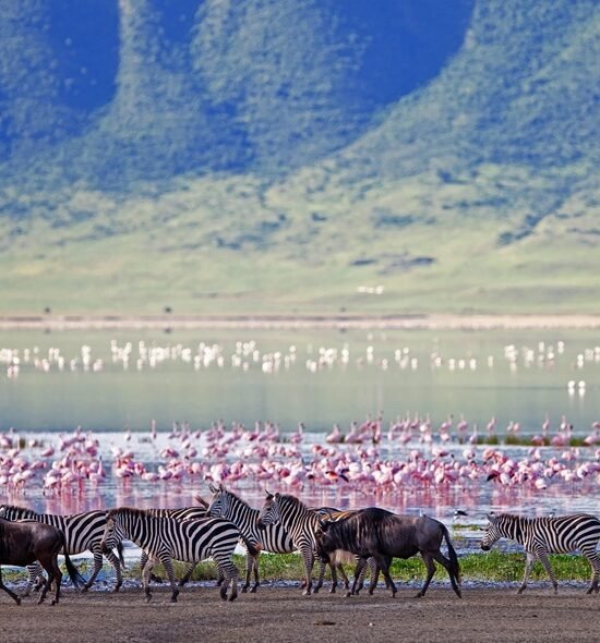 4-Day Serengeti, Ngorongoro and Materuni Waterfalls