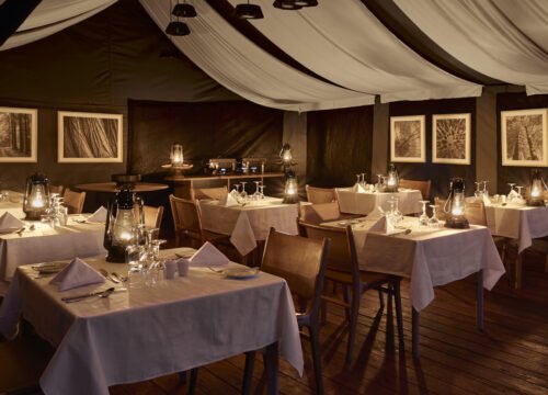 5 Day Serengeti and Ngorongoro Crater Fly in Safari