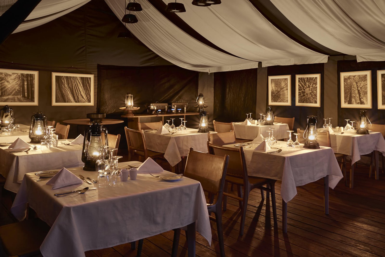 5 Day Serengeti and Ngorongoro Crater Fly in Safari