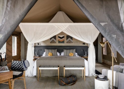 5-Day Tanzania Luxury Fly-in Safari