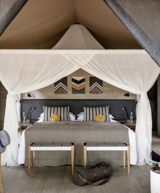 5-Day Tanzania Luxury Fly-in Safari