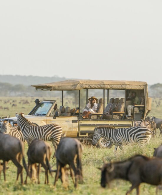 5 Day Private Great Serengeti Migration Safari From Arusha