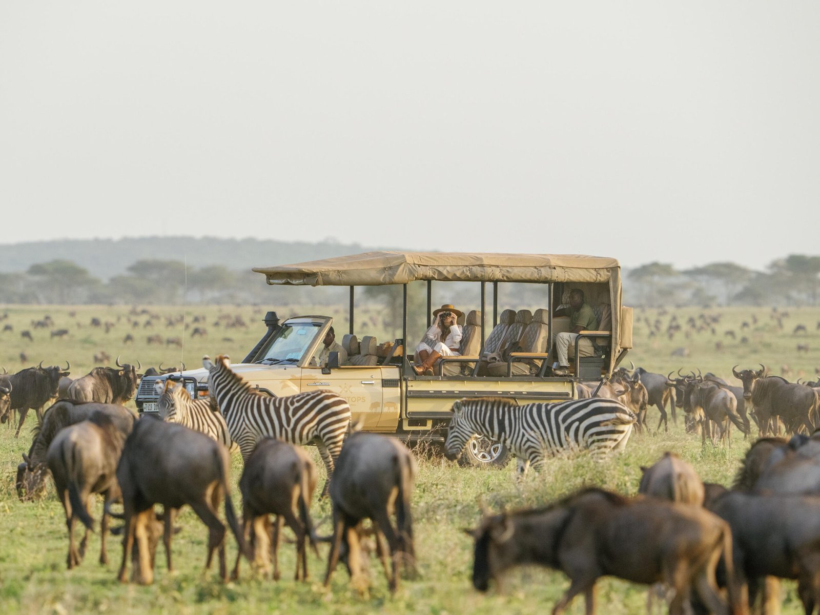 5 Day Private Great Serengeti Migration Safari From Arusha