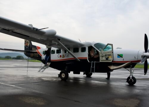 2 Days Tarangire and Ngorongoro Crater (Fly-in Safari)