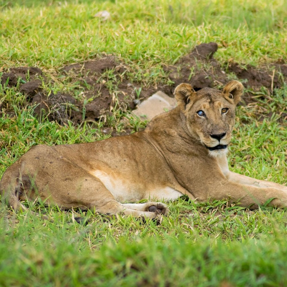 Tarangire National Park